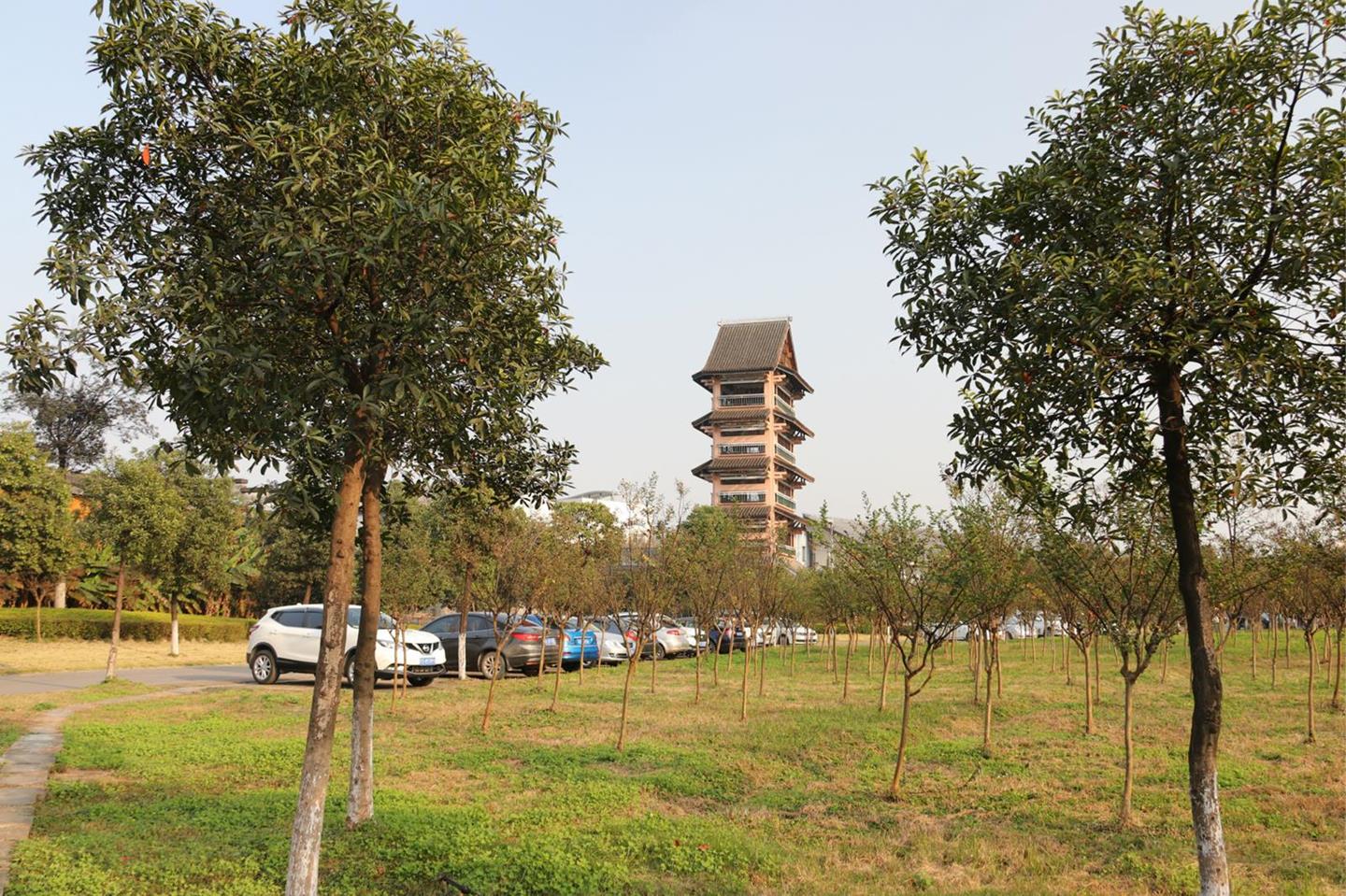 IMG_3977_meitu_2
