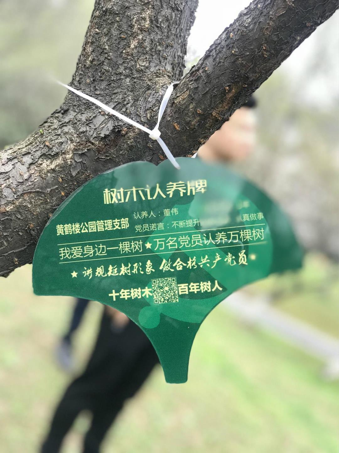 QQ图片20180320155531_meitu_9
