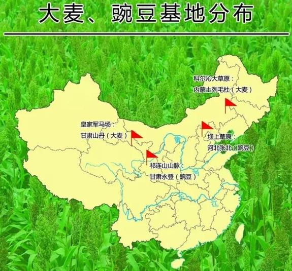 QQ图片20180904145414