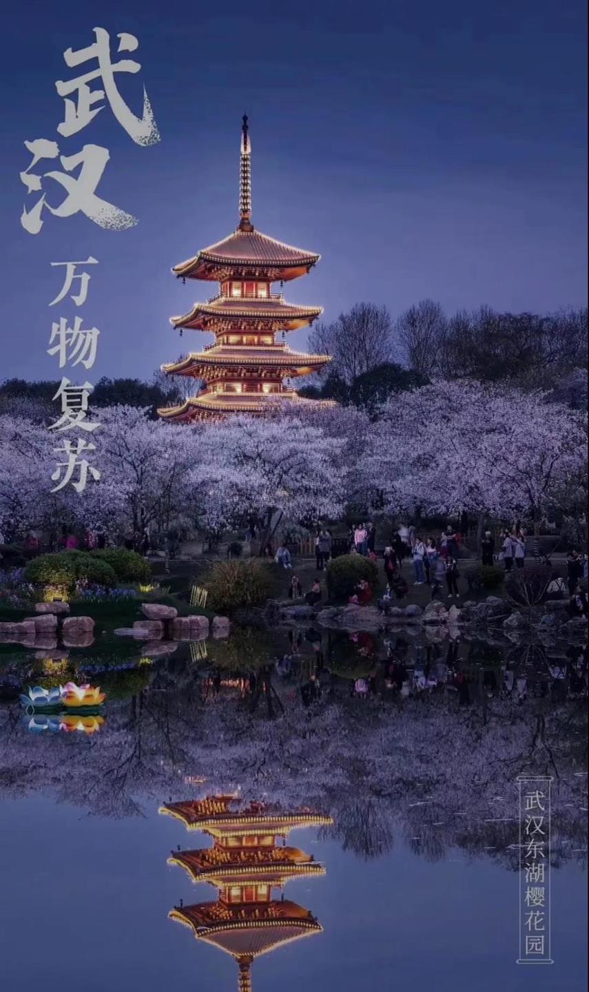 微信图片_20200408181608 - 副本