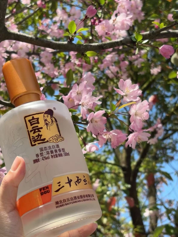微信图片_20250326161940_副本